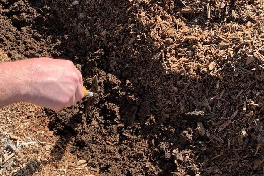 sheet composting for a weed free garden