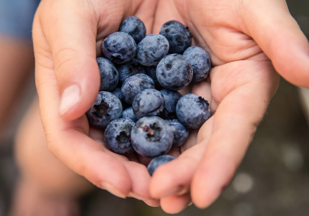 Blueberries